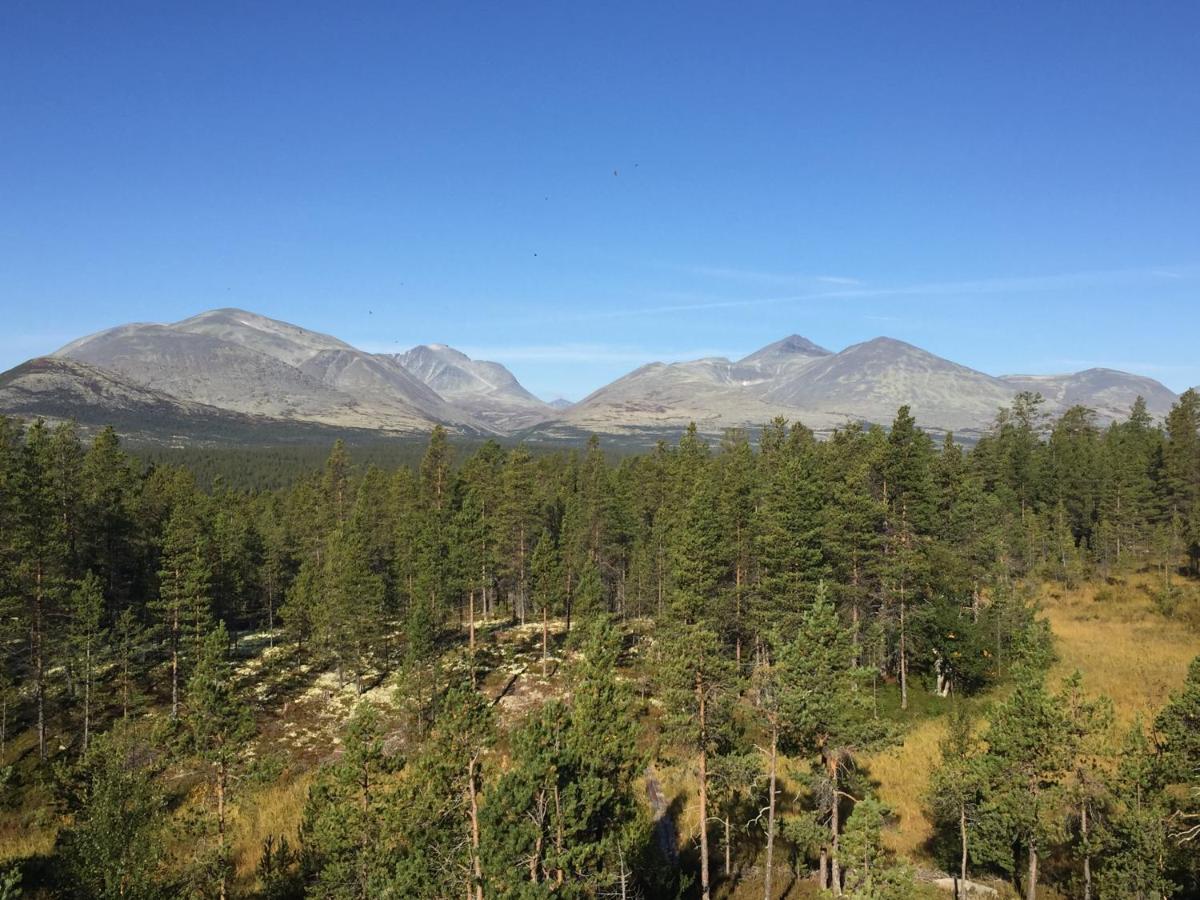 Rondane Sollia Friluftsliv Ovre Nordli Villa Exterior foto
