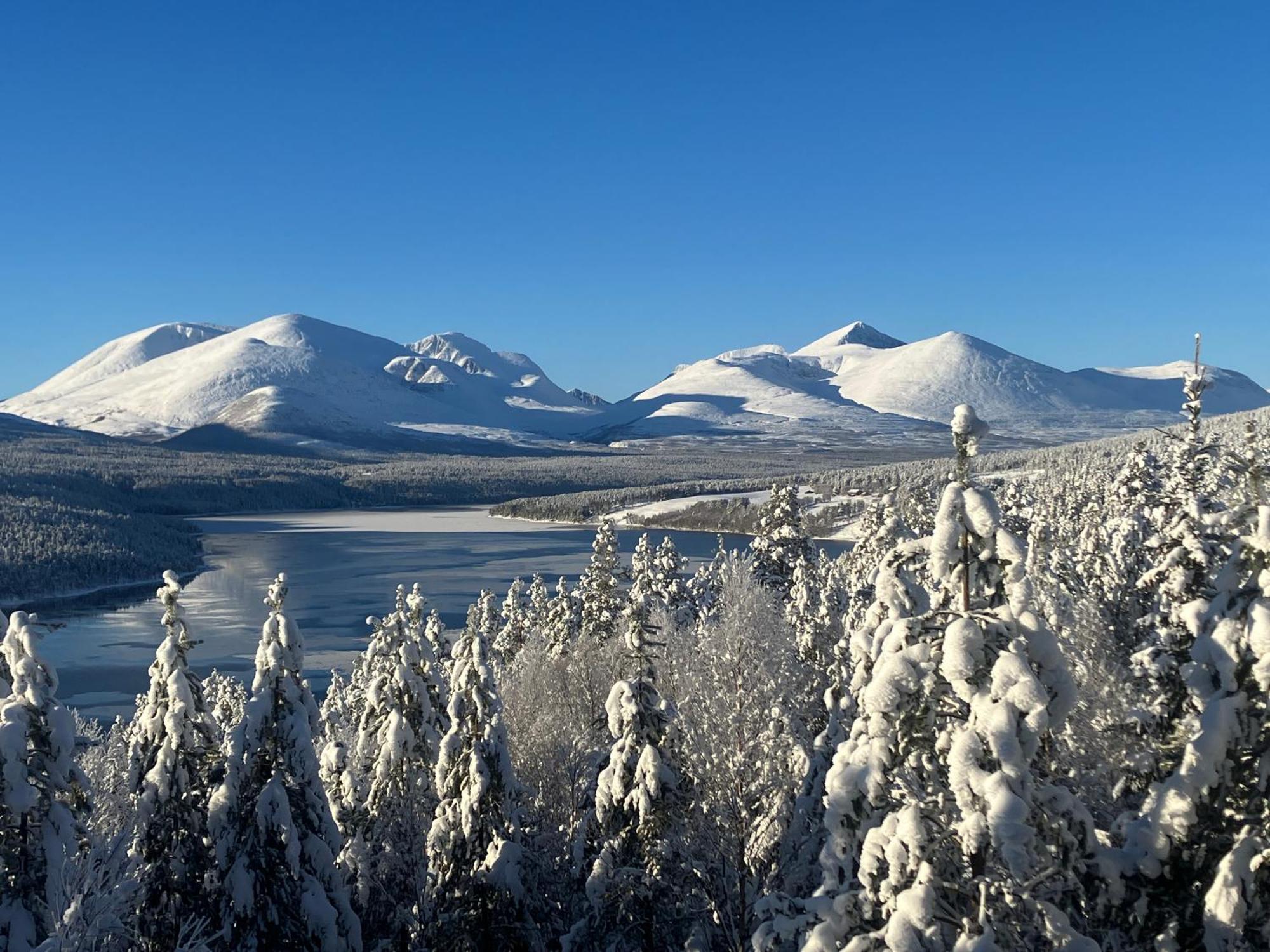 Rondane Sollia Friluftsliv Ovre Nordli Villa Exterior foto